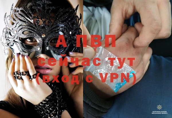 скорость Белокуриха