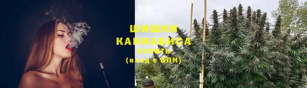 спайс Богданович