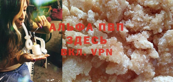 спайс Богданович