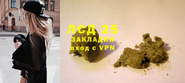 спайс Богданович