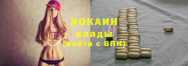 спайс Богданович
