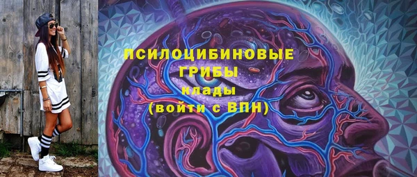 MDMA Богородицк
