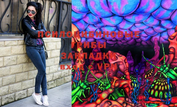 спайс Богданович