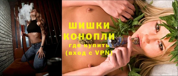 спайс Богданович