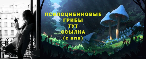 MDMA Богородицк